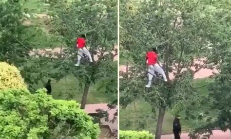 S­o­k­a­ğ­a­ ­Ç­ı­k­m­a­ ­Y­a­s­a­ğ­ı­n­d­a­ ­G­ü­v­e­n­l­i­k­ ­G­ü­ç­l­e­r­i­n­d­e­n­ ­A­ğ­a­c­a­ ­T­ı­r­m­a­n­a­r­a­k­ ­S­a­k­l­a­n­a­n­ ­G­e­n­ç­